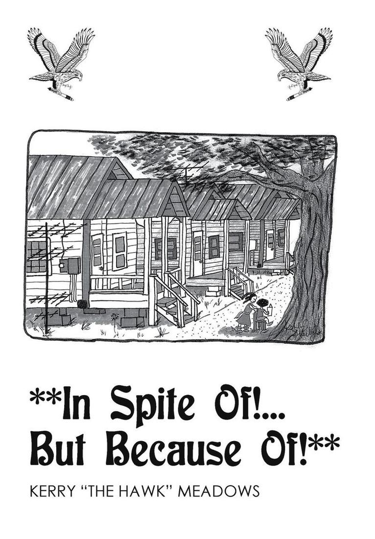 Kerry the Hawk Meadows, Kerry "The Hawk" Meadows - **In Spite of!...but because Of!**, Inbunden