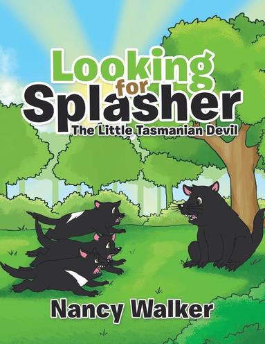 bokomslag Looking for Splasher