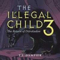 bokomslag Illegal Child 3
