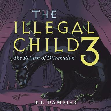 bokomslag Illegal Child 3