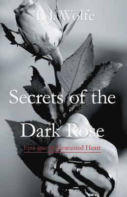 bokomslag Secrets of the Dark Rose