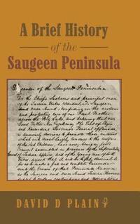 bokomslag A Brief History of the Saugeen Peninsula