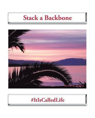 Robin Jones - Stack a Backbone, Häftad