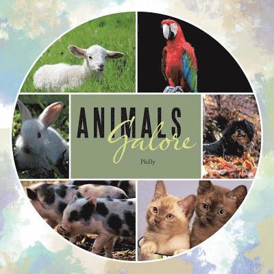 Animals Galore 1