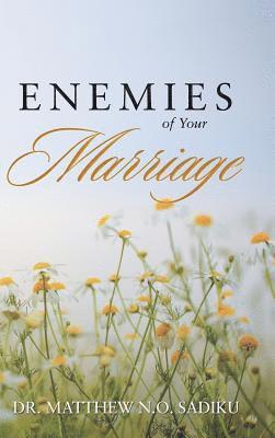 Matthew N O Sadiku, Matthew N. O. Sadiku, Dr. Matthew N.O. Sadiku - Enemies of Your Marriage, Inbunden