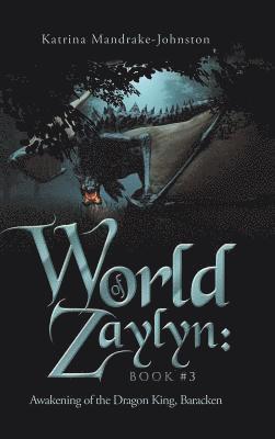 bokomslag World of Zaylyn