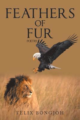 Feathers of Fur 1