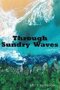 bokomslag Through Sundry Waves