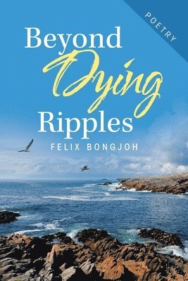 bokomslag Beyond Dying Ripples