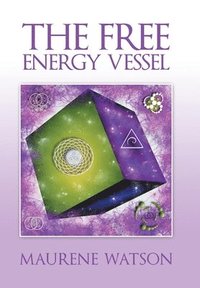 bokomslag The Free Energy Vessel