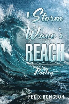 A Storm Wave's Reach 1