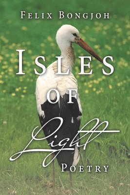 Felix Bongjoh - Isles of Light, Häftad