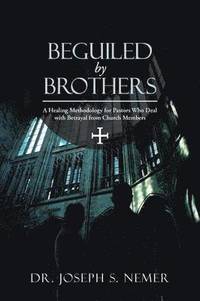 bokomslag Beguiled by Brothers