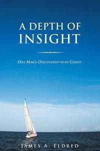 bokomslag Depth of Insight