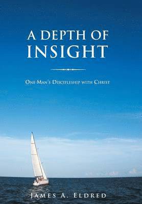 bokomslag Depth of Insight