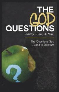 bokomslag The God Questions