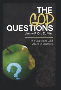 bokomslag The God Questions