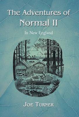Joe Turner - Adventures of Normal II, Inbunden