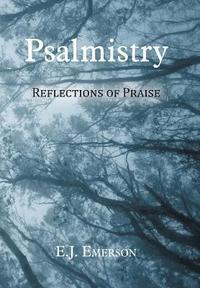 bokomslag Psalmistry