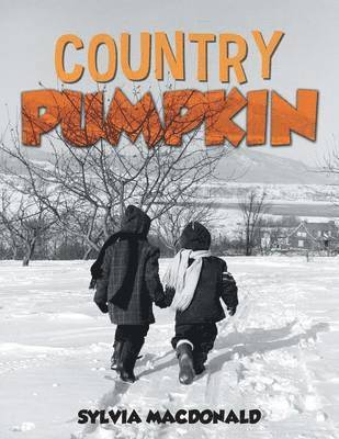 Country Pumpkin 1