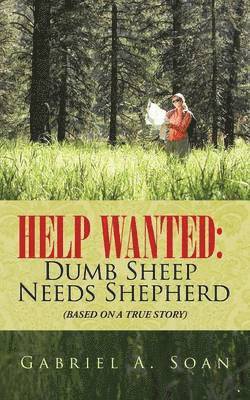 bokomslag Help Wanted