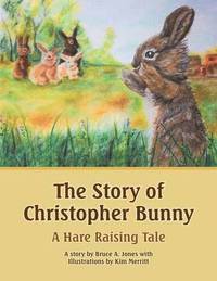 bokomslag The Story of Christopher Bunny