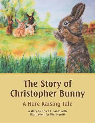 The Story of Christopher Bunny 1