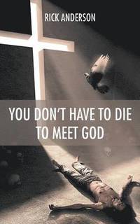bokomslag You Don't Have to Die to Meet God