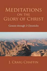 bokomslag Meditations on the Glory of Christ