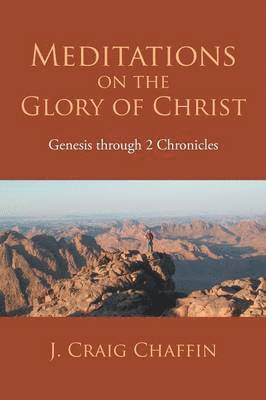 bokomslag Meditations on the Glory of Christ