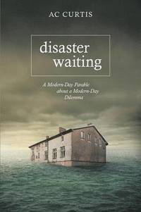 bokomslag Disaster Waiting