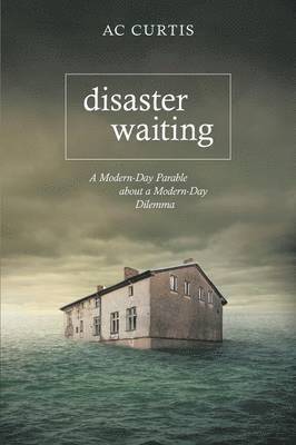 bokomslag Disaster Waiting
