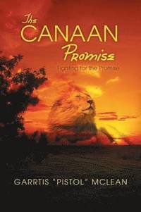 bokomslag The Canaan Promise