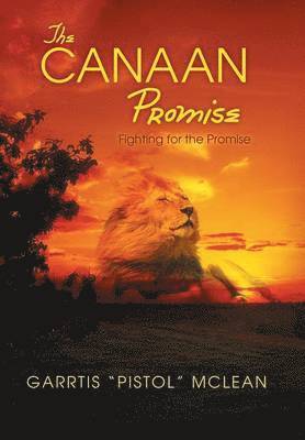 bokomslag The Canaan Promise