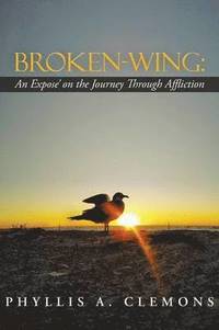 bokomslag Broken-Wing