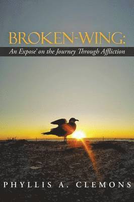 Broken-Wing 1