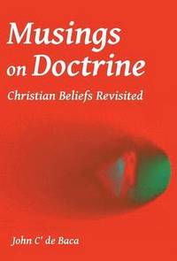 bokomslag Musings on Doctrine