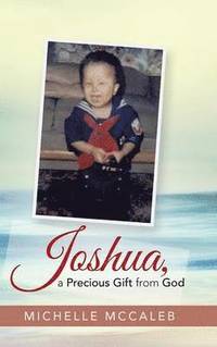bokomslag Joshua, a Precious Gift from God