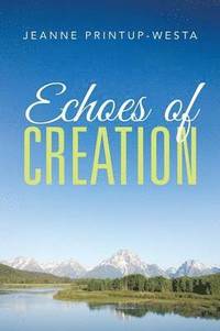 bokomslag Echoes of Creation