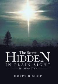 bokomslag Secret Hidden in Plain Sight