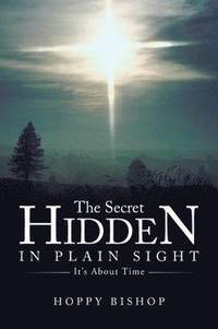 bokomslag Secret Hidden in Plain Sight