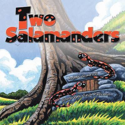 Two Salamanders 1