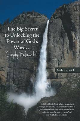 bokomslag Big Secret to Unlocking the Power of God's Word...Simply Believe It!