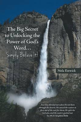 bokomslag The Big Secret to Unlocking the Power of God's Word...Simply Believe It!