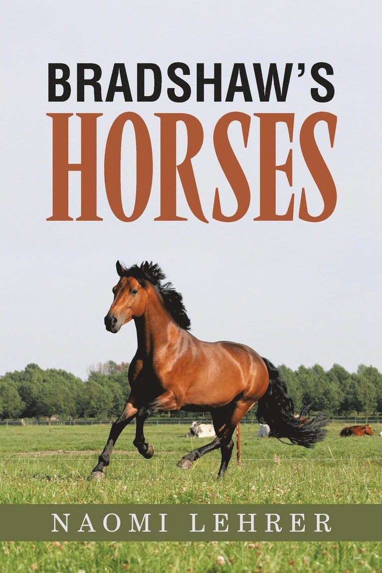 Bradshaw's Horses 1