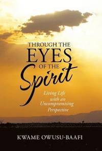 bokomslag Through the Eyes of the Spirit