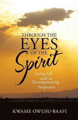 bokomslag Through the Eyes of the Spirit