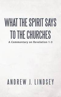 bokomslag What the Spirit Says to the Churches