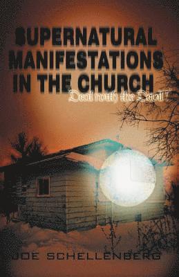 bokomslag Supernatural Manifestations in the Church