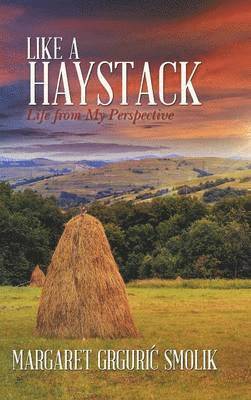 bokomslag Like a Haystack